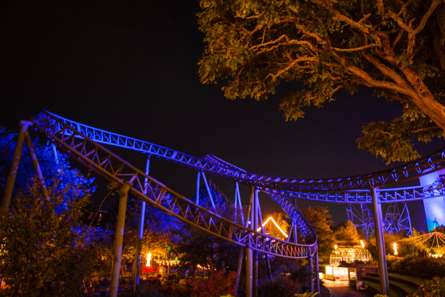 Der Buchtknoten der Flucht von Novgorod. Die Schiene ist erleuchtet.